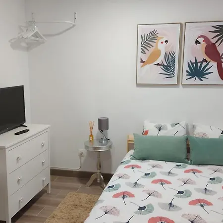 Cozy In * Лиссабон