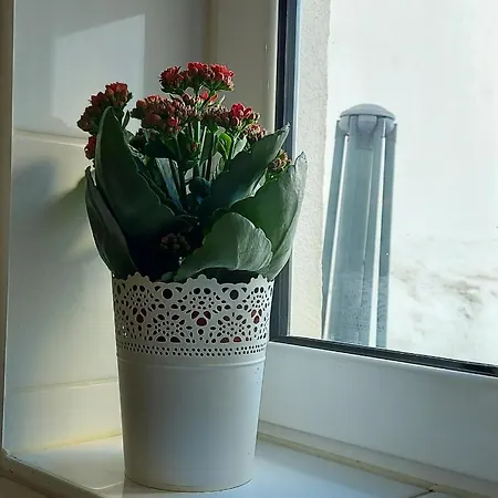 Cozy In Lisbon